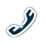 Phone Icon